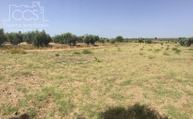 Building Plot for sale in Almonte - € 35,000 (Ref: 9275652)