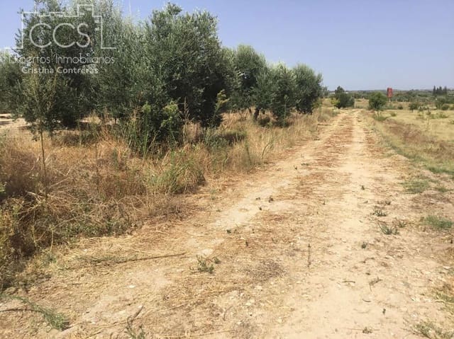 Building Plot for sale in Almonte - € 35,000 (Ref: 9275652)