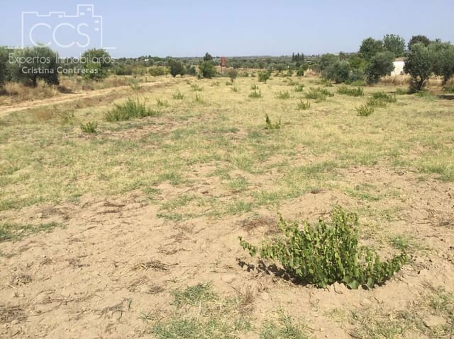 Building Plot for sale in Almonte - € 35,000 (Ref: 9275652)