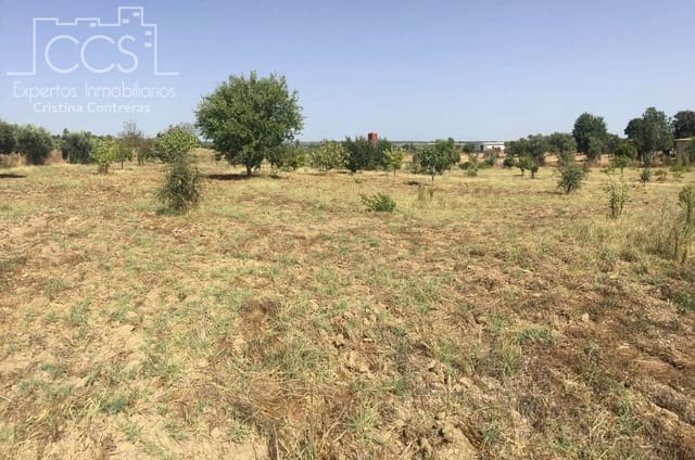 Building Plot for sale in Almonte - € 35,000 (Ref: 9275652)