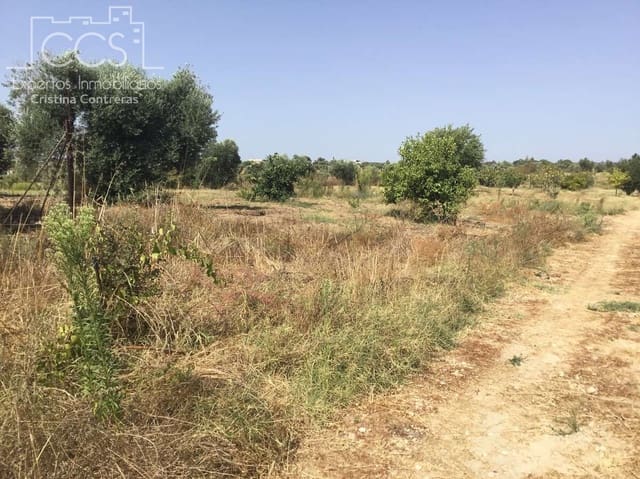 Building Plot for sale in Almonte - € 35,000 (Ref: 9275652)