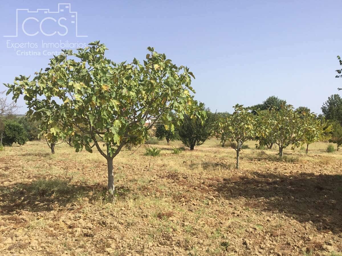 Byggetomt til salgs i Almonte - € 35 000 (Ref: 9275652)