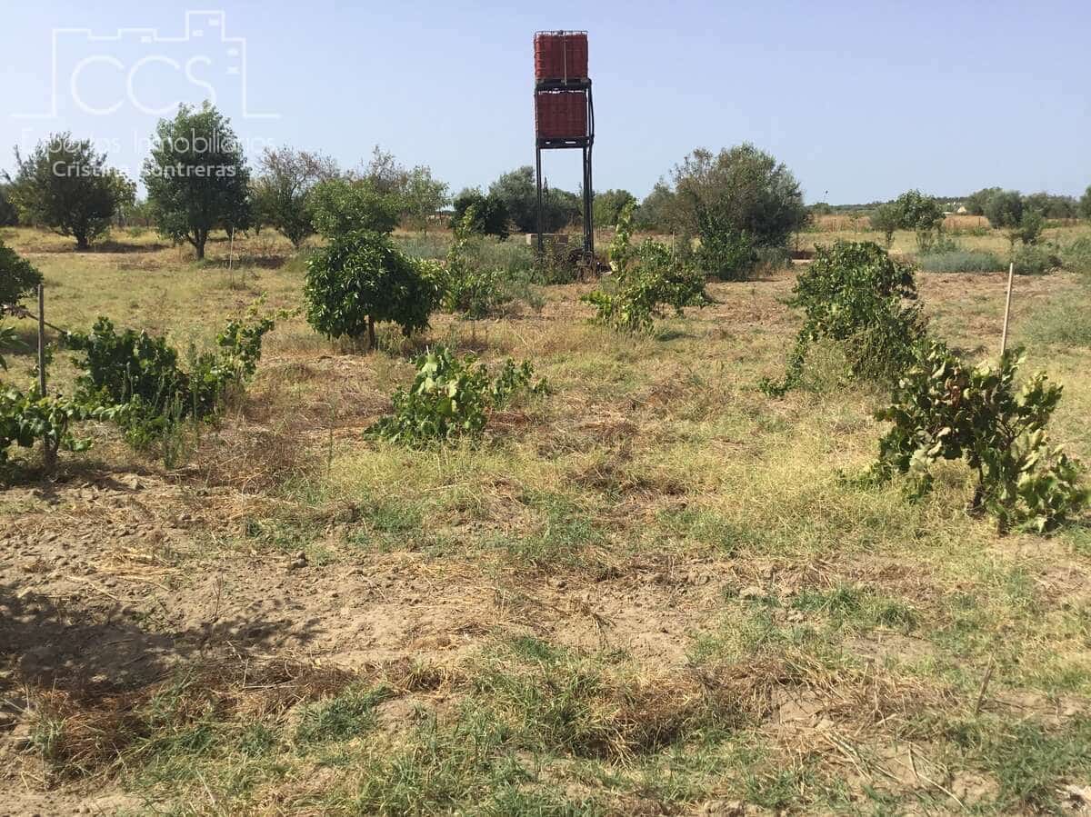 Byggetomt til salgs i Almonte - € 35 000 (Ref: 9275652)