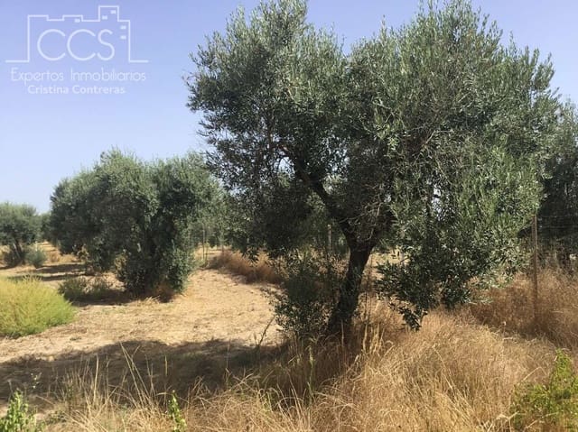 Building Plot for sale in Almonte - € 35,000 (Ref: 9275652)