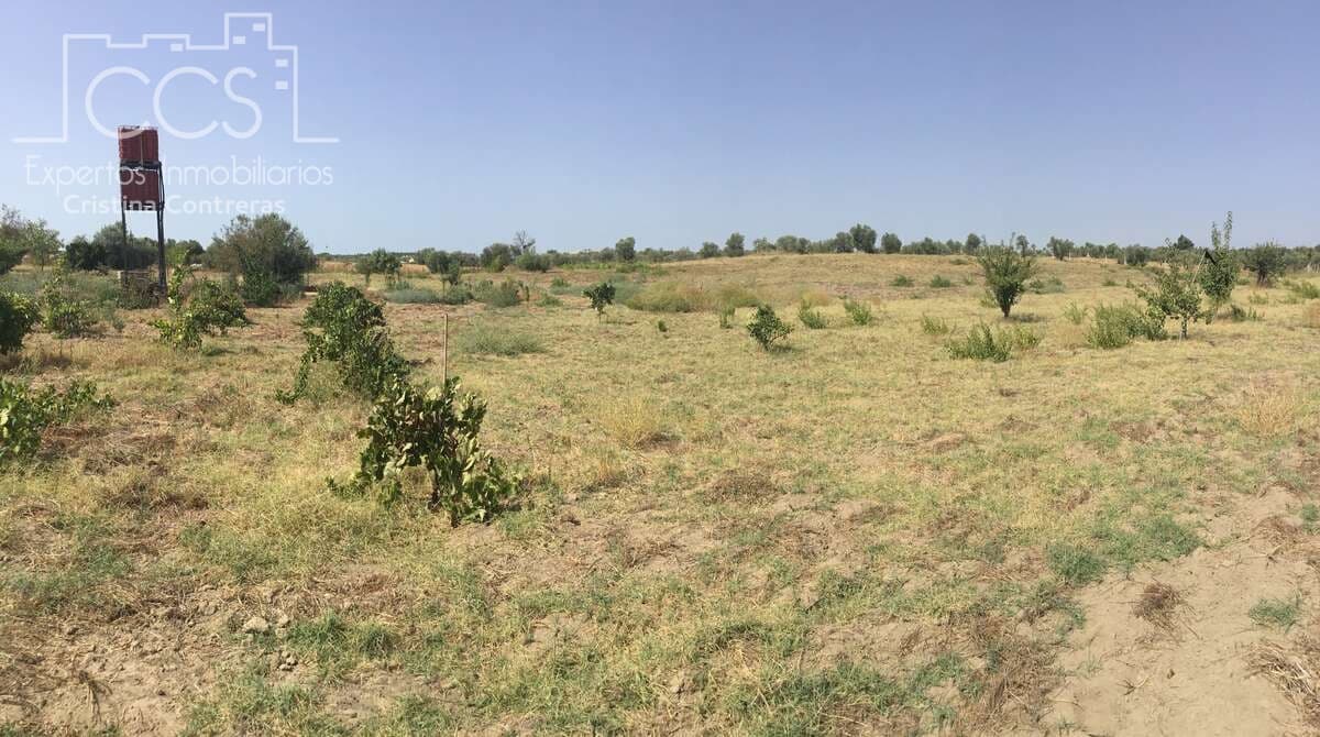 Byggetomt til salgs i Almonte - € 35 000 (Ref: 9275652)