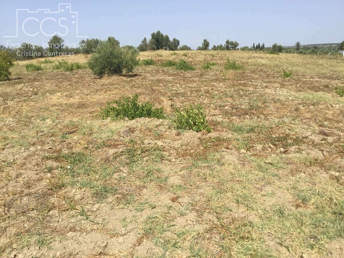 Byggetomt til salgs i Almonte - € 35 000 (Ref: 9275652)