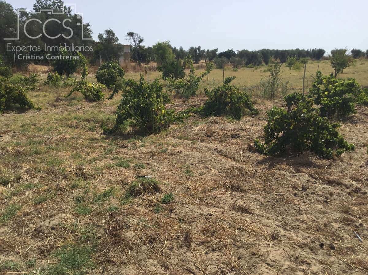 Byggetomt til salgs i Almonte - € 35 000 (Ref: 9275652)