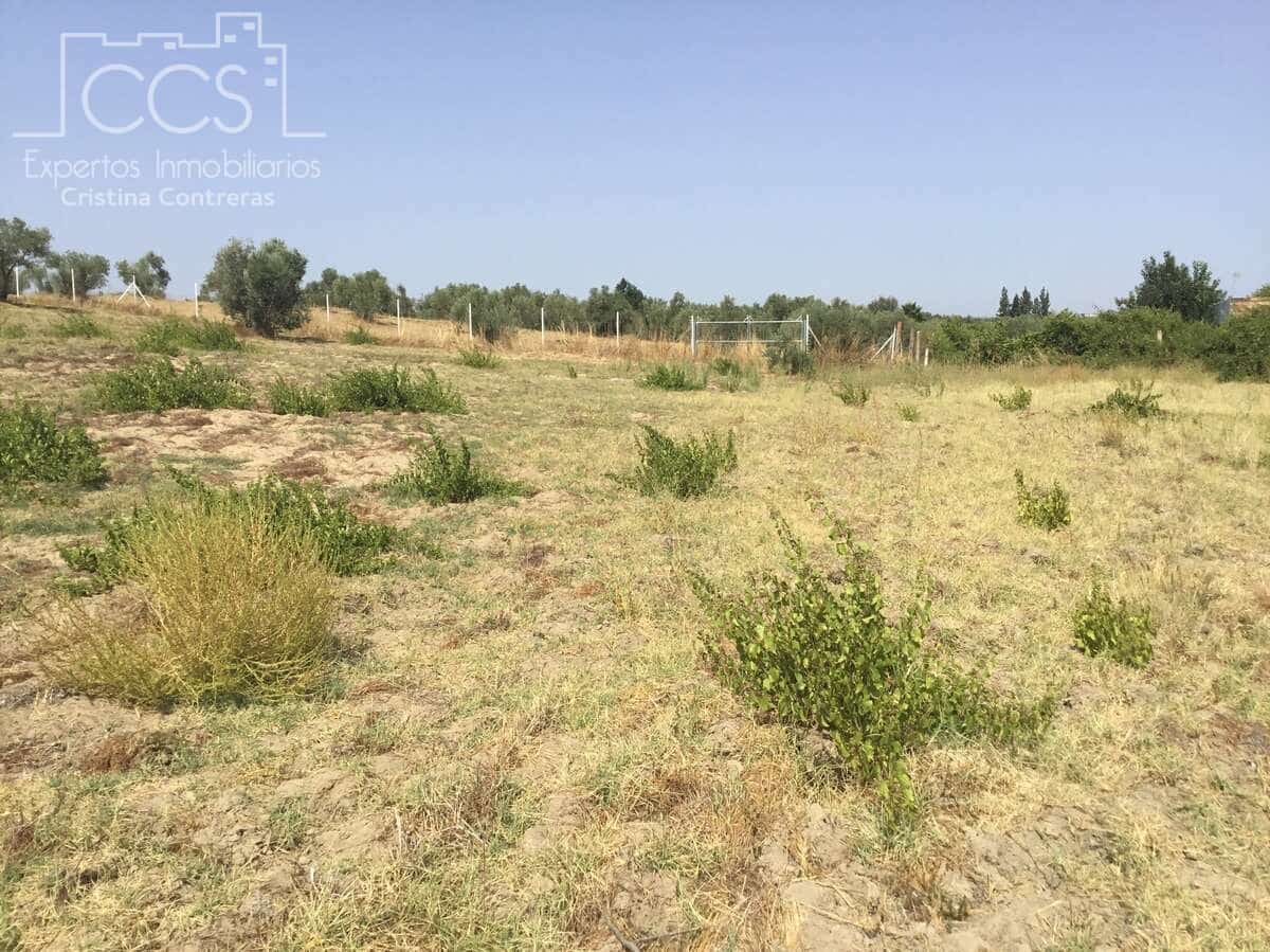 Byggetomt til salgs i Almonte - € 35 000 (Ref: 9275652)