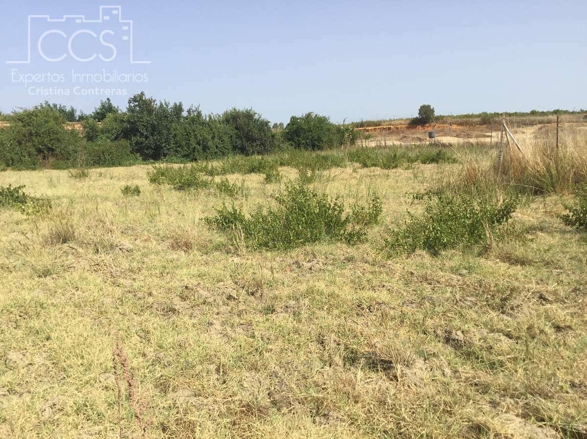 Byggetomt til salgs i Almonte - € 35 000 (Ref: 9275652)