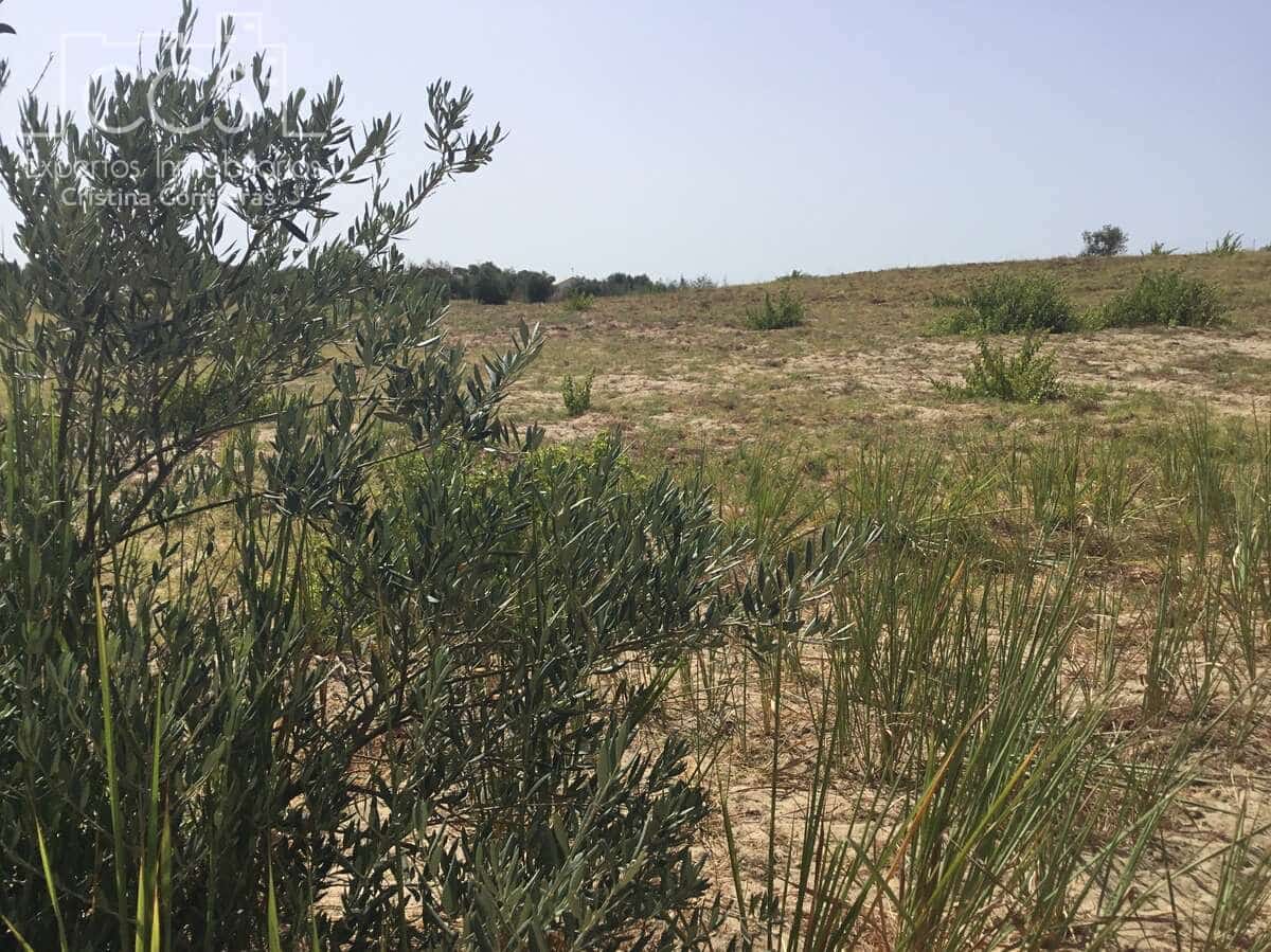 Byggetomt til salgs i Almonte - € 35 000 (Ref: 9275652)