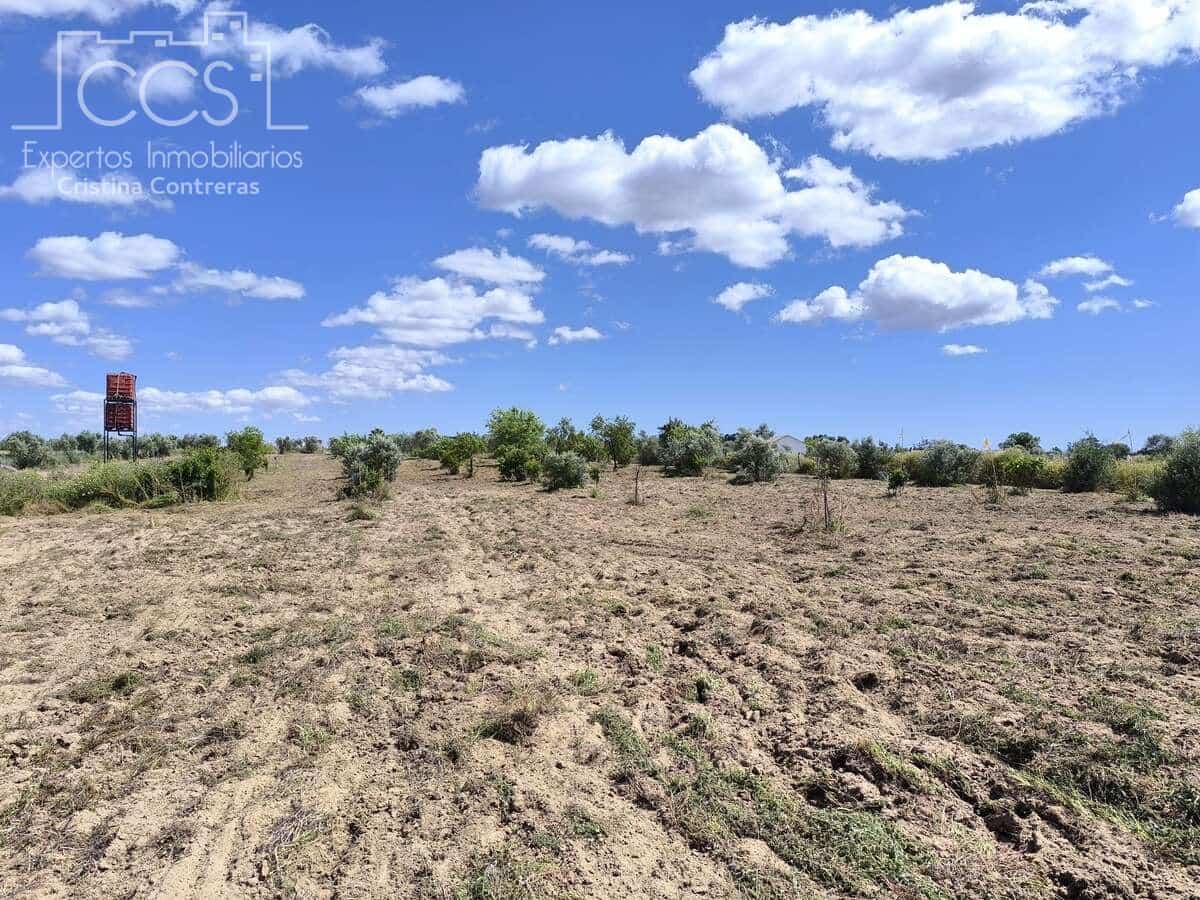 Byggetomt til salgs i Almonte - € 35 000 (Ref: 9275652)