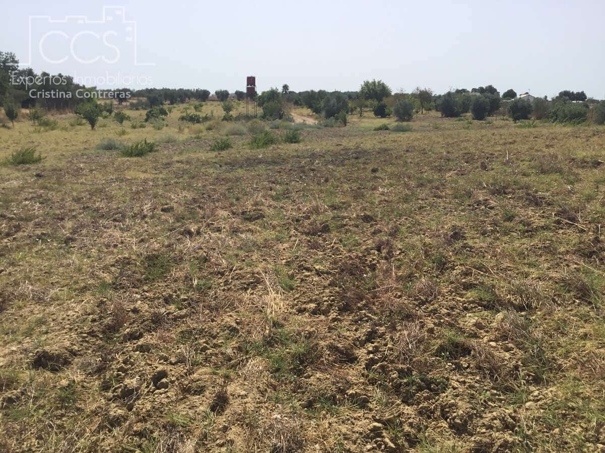 Byggetomt til salgs i Almonte - € 35 000 (Ref: 9275652)