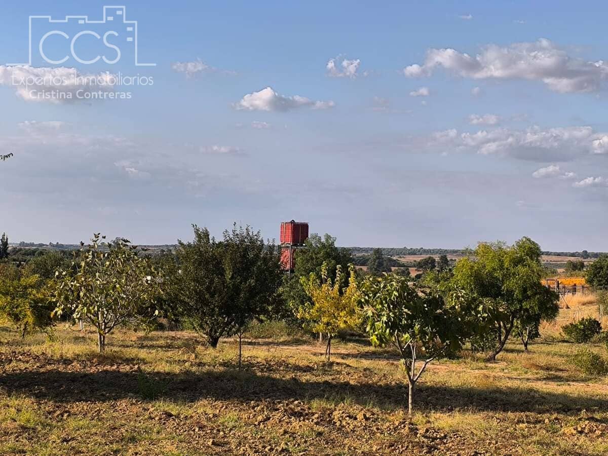 Byggetomt til salgs i Almonte - € 35 000 (Ref: 9275652)