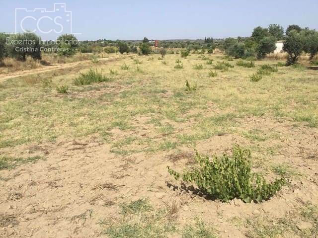 Area Edificabile in vendita in Almonte - 35.000 € (Rif: 9275652)