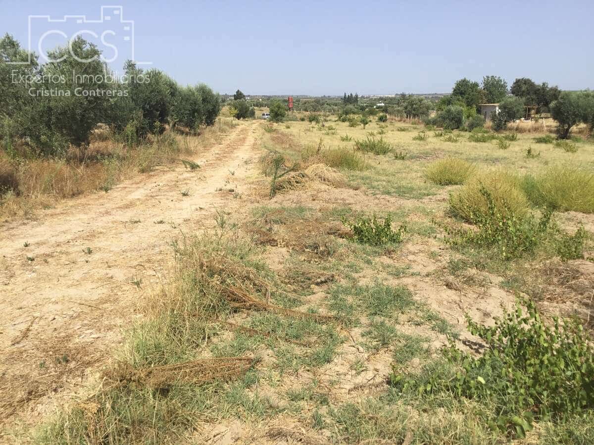 Terrain à Bâtir à vendre à Almonte - 29 500 € (Ref: 9275652)