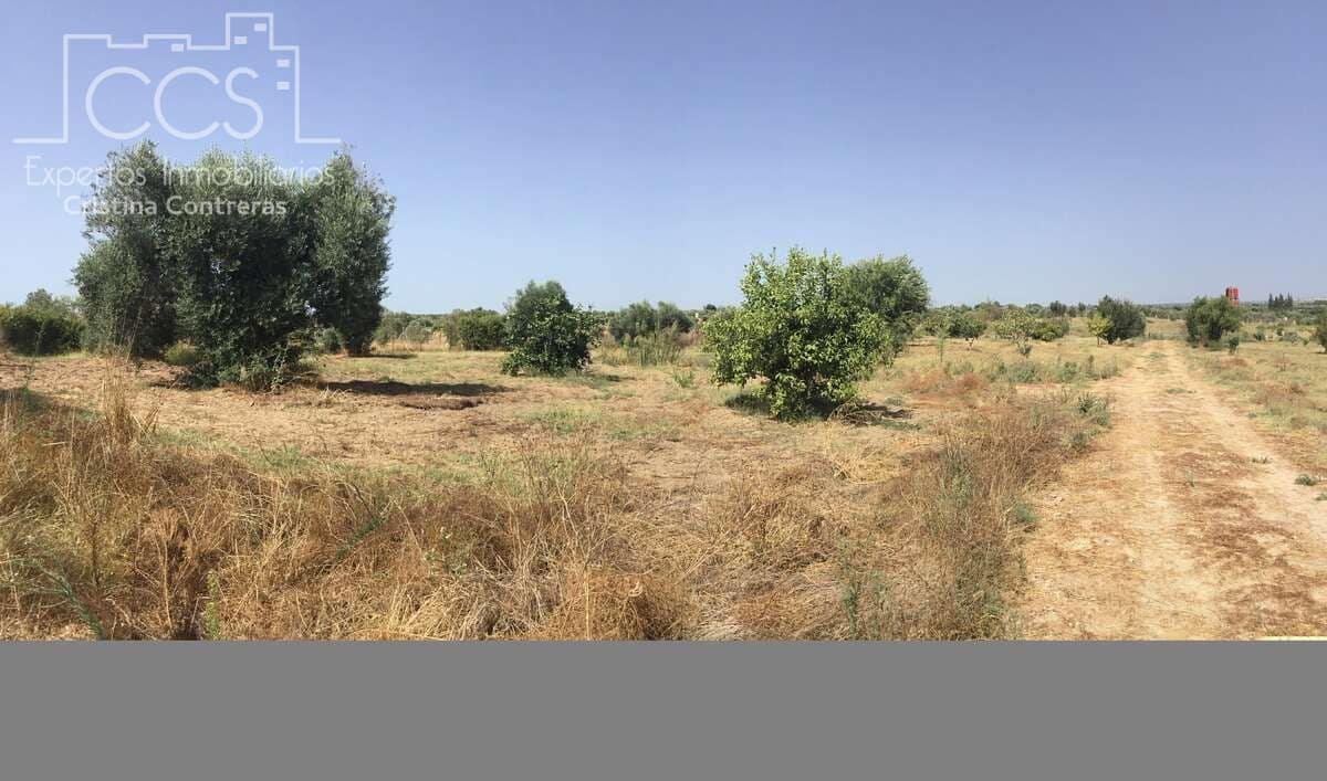 Terrain à Bâtir à vendre à Almonte - 29 500 € (Ref: 9275652)