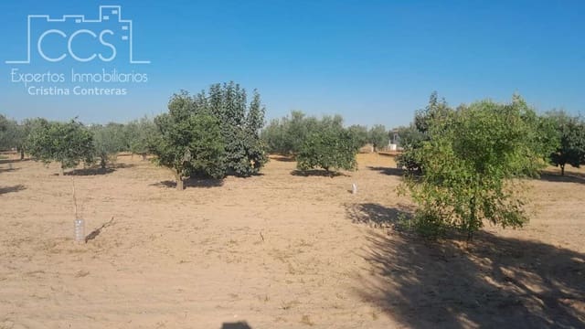 Building Plot for sale in Almonte - € 31,000 (Ref: 9300348)