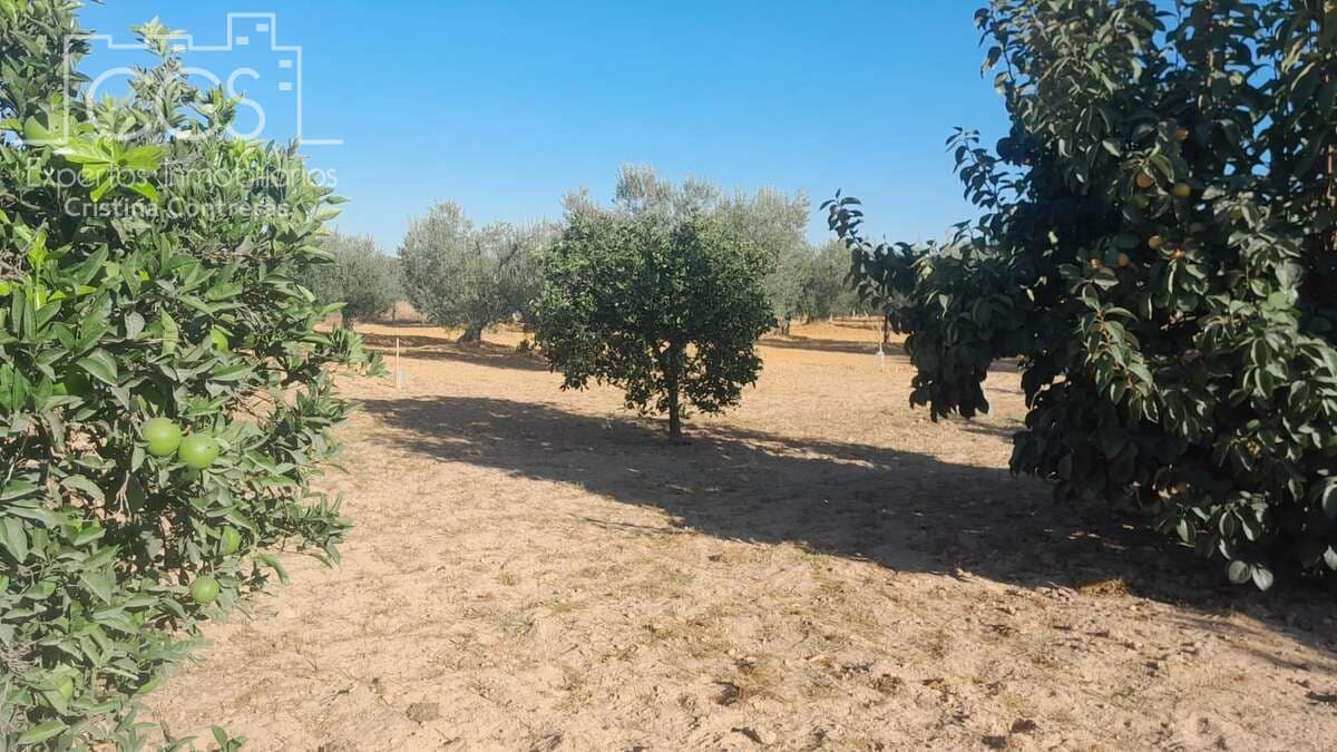 Tomt till salu i Almonte - 31 000 € (Ref: 9300348)