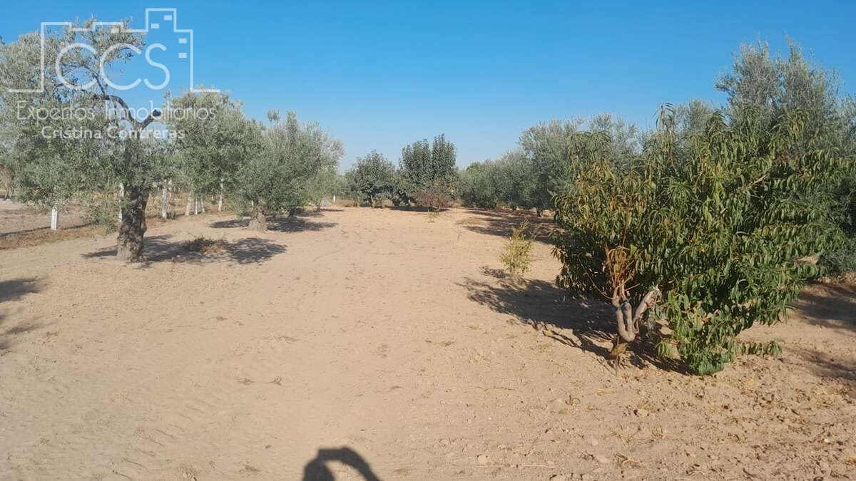 Tomt till salu i Almonte - 31 000 € (Ref: 9300348)