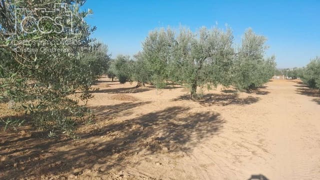 Building Plot for sale in Almonte - € 31,000 (Ref: 9300348)