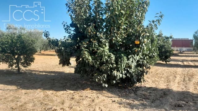 Building Plot for sale in Almonte - € 31,000 (Ref: 9300348)