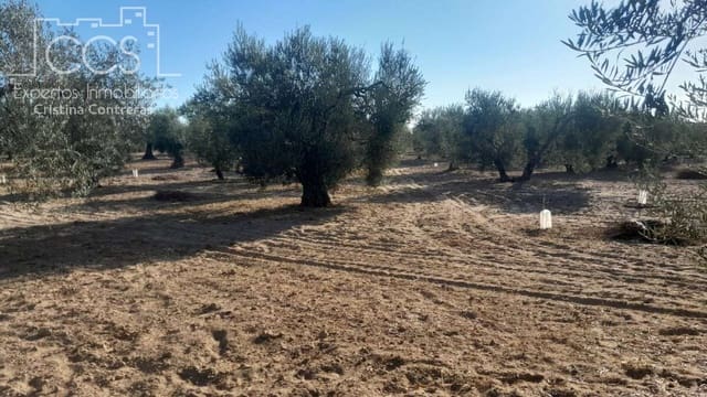 Building Plot for sale in Almonte - € 31,000 (Ref: 9300348)