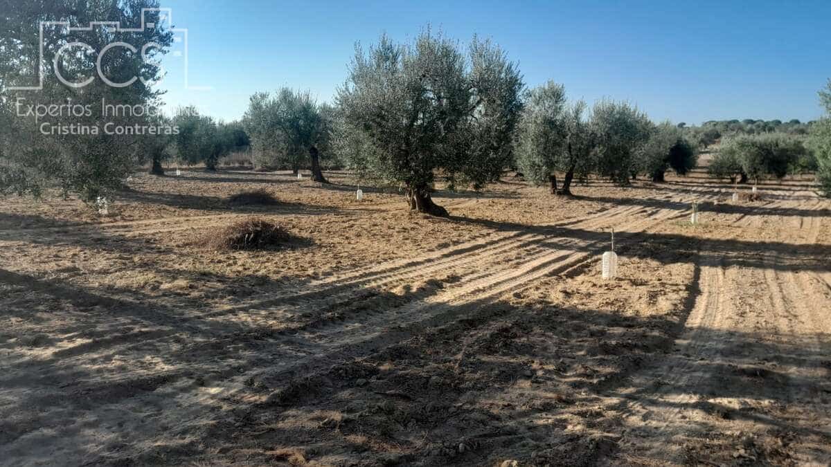 Tomt till salu i Almonte - 31 000 € (Ref: 9300348)