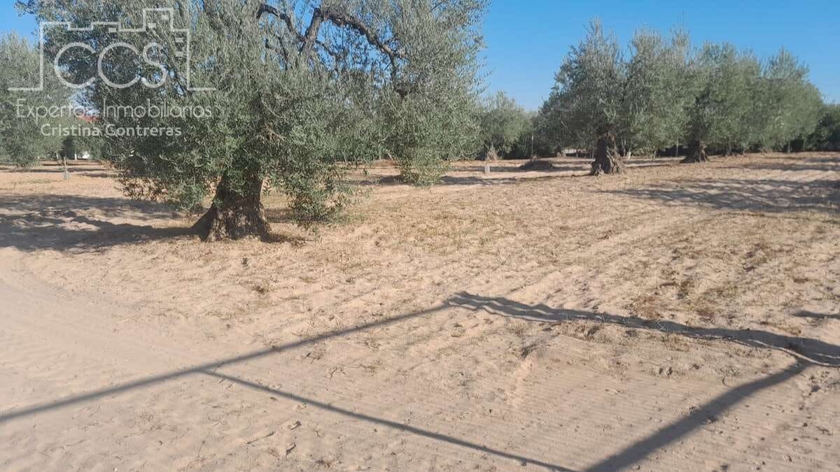 Tomt till salu i Almonte - 31 000 € (Ref: 9300348)