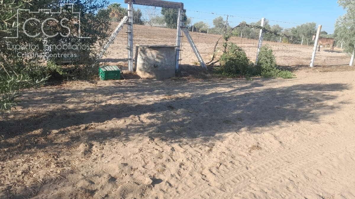 Tomt till salu i Almonte - 31 000 € (Ref: 9300348)