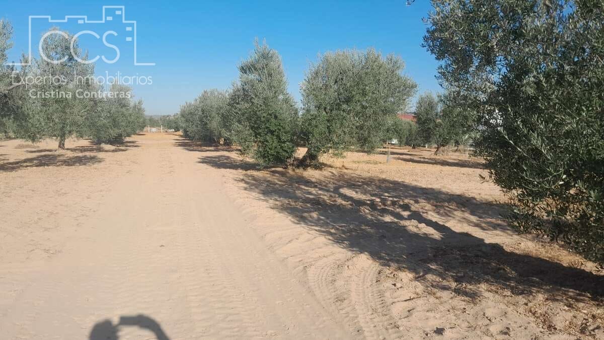 Tomt till salu i Almonte - 31 000 € (Ref: 9300348)