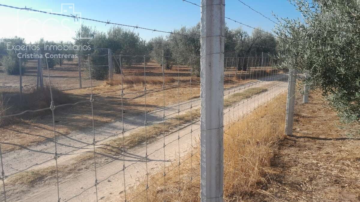 Tomt till salu i Almonte - 31 000 € (Ref: 9300348)