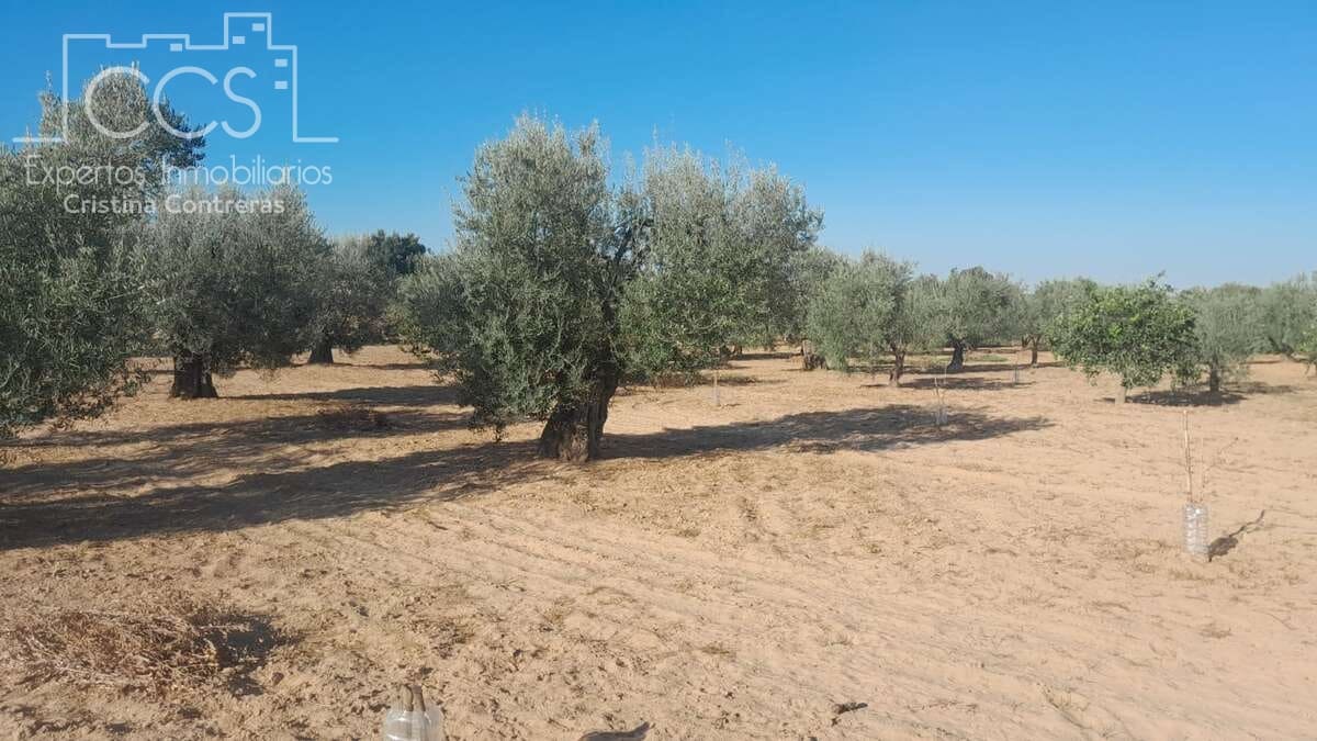 Bouwgrond te koop in Almonte - € 31.000 (Ref: 9300348)