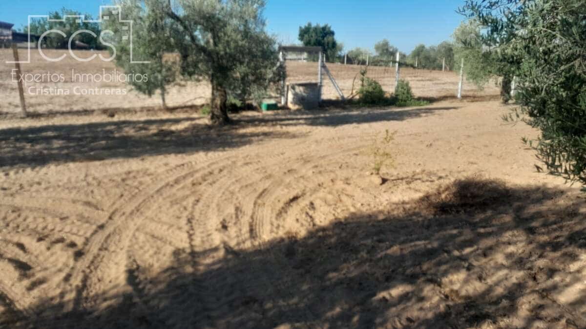 Bouwgrond te koop in Almonte - € 31.000 (Ref: 9300348)