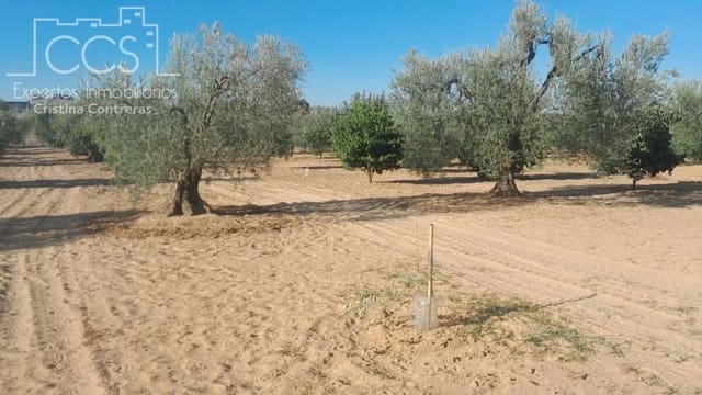 Area Edificabile in vendita in Almonte - 31.000 € (Rif: 9300348)