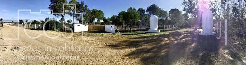 Finca/Country House for sale in Almonte - € 110,000 (Ref: 9312206)