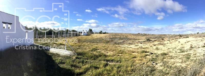 Finca/Country House for sale in Almonte - € 110,000 (Ref: 9312206)