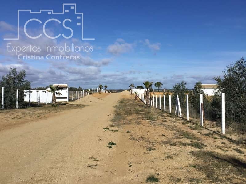 Finca/Country House for sale in Almonte - € 110,000 (Ref: 9312206)