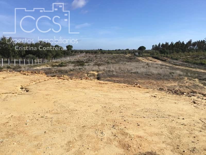 Finca/Country House for sale in Almonte - € 110,000 (Ref: 9312206)