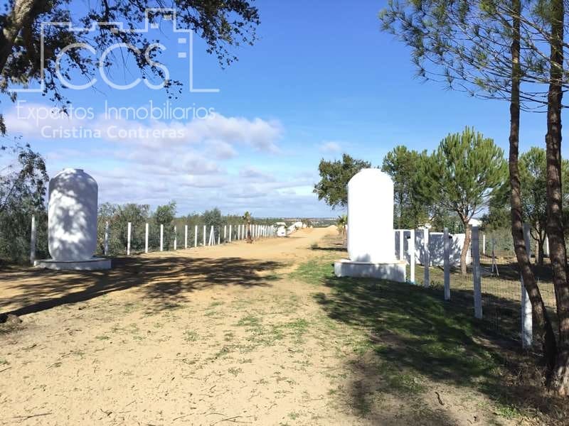 Finca/Country House for sale in Almonte - € 110,000 (Ref: 9312206)