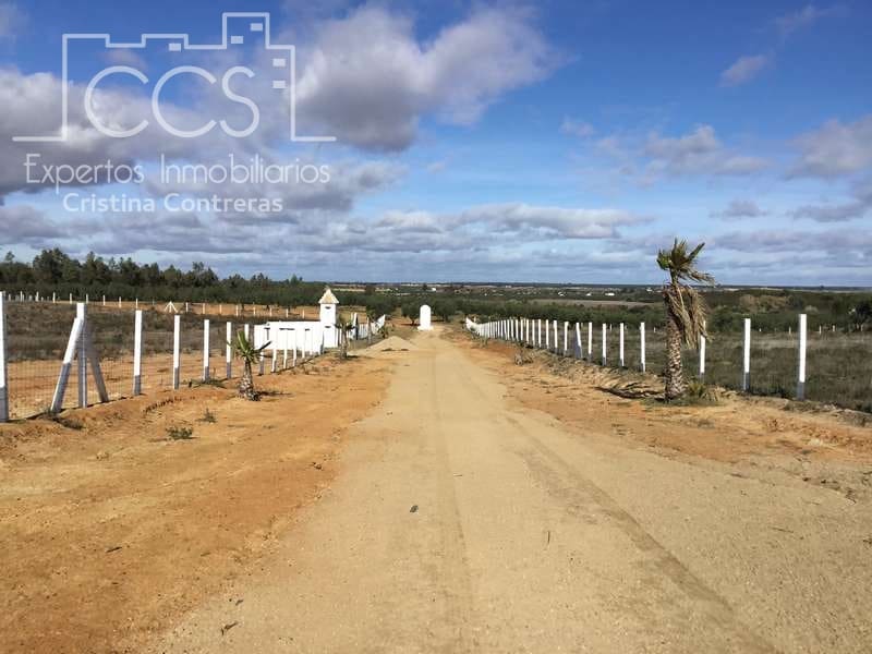 Finca/Country House for sale in Almonte - € 110,000 (Ref: 9312206)