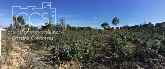 Finca/Herregård til salgs i Almonte - € 110 000 (Ref: 9312206)