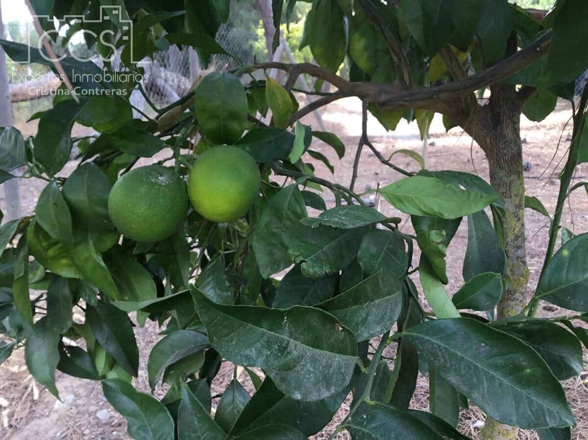 2 soverom Finca/Herregård til salgs i Hinojos med svømmebasseng garasje - € 185 000 (Ref: 9329981)