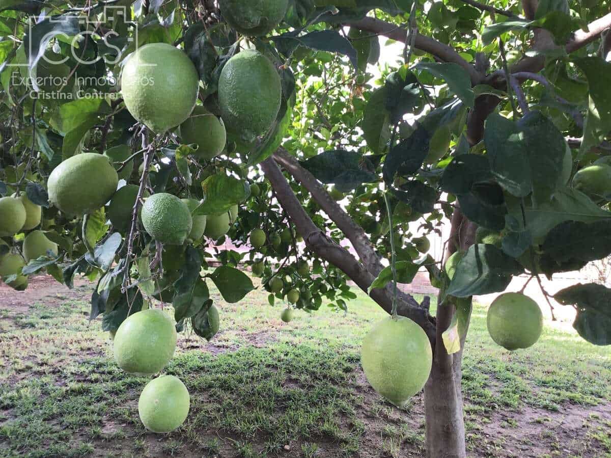 2 soverom Finca/Herregård til salgs i Hinojos med svømmebasseng garasje - € 185 000 (Ref: 9329981)