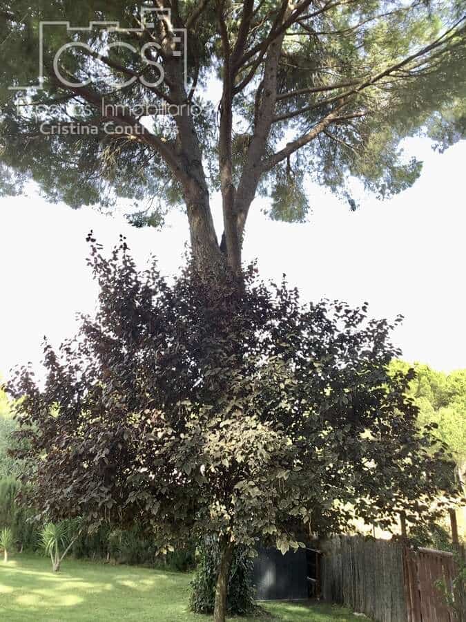 2 Zimmer Finca/Landgut zu verkaufen in Hinojos mit Pool Garage - 185.000 € (Ref: 9329981)