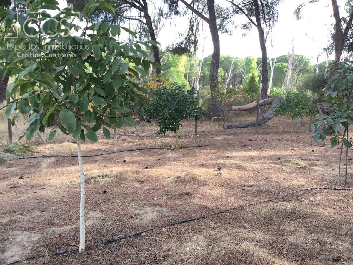 2 Zimmer Finca/Landgut zu verkaufen in Hinojos mit Pool Garage - 185.000 € (Ref: 9329981)