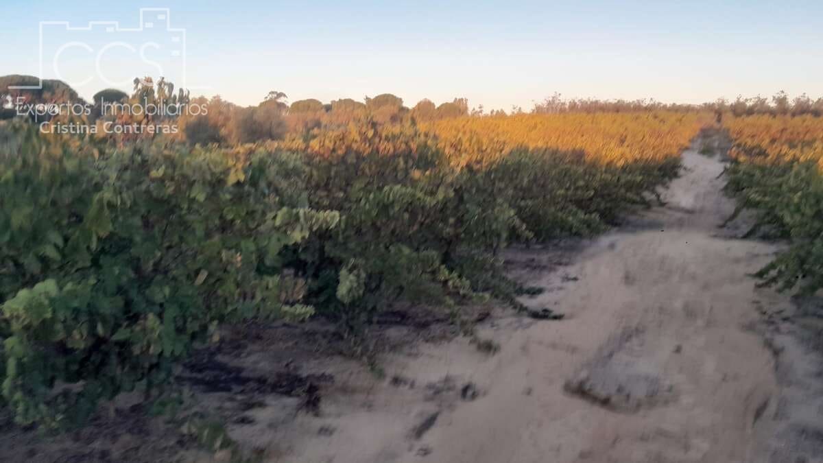 Building Plot for sale in Almonte - € 23,000 (Ref: 9371559)