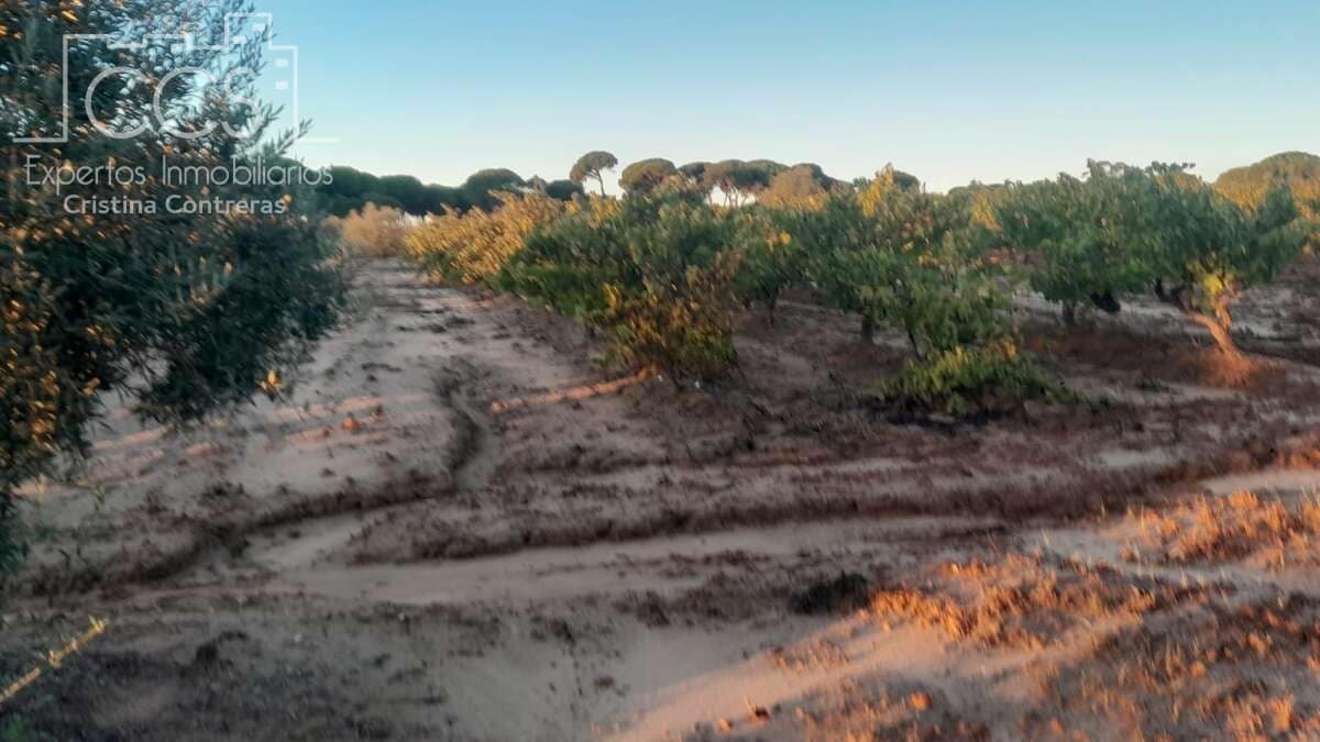 Building Plot for sale in Almonte - € 23,000 (Ref: 9371559)