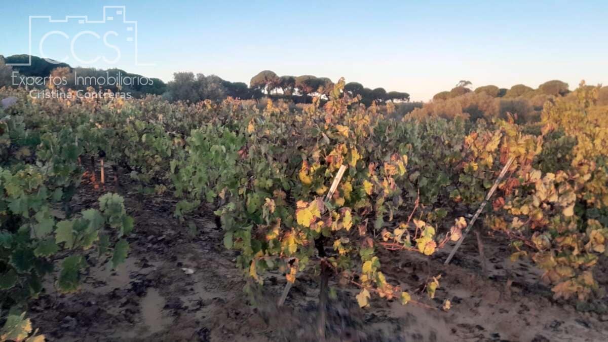 Building Plot for sale in Almonte - € 23,000 (Ref: 9371559)