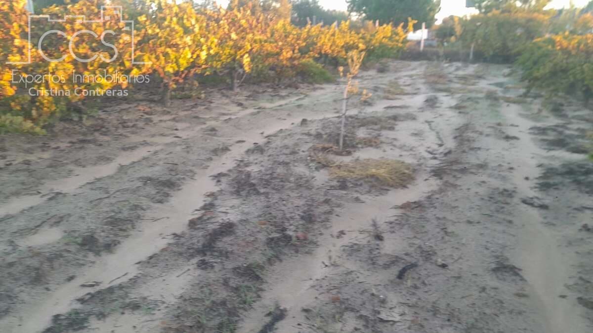 Building Plot for sale in Almonte - € 23,000 (Ref: 9371559)