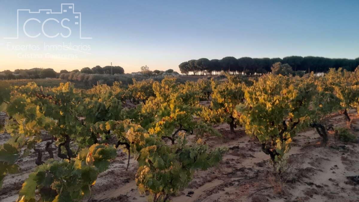 Building Plot for sale in Almonte - € 23,000 (Ref: 9371559)